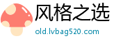 风格之选
